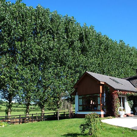 The Bungalow Farmhouse Clomantagh Экстерьер фото