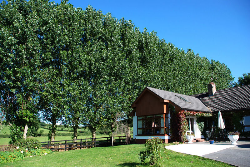 The Bungalow Farmhouse Clomantagh Экстерьер фото